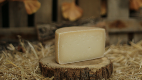 2025 Esneki Gazta onena Esneki Gazta onena