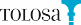 Tolosa Home logo